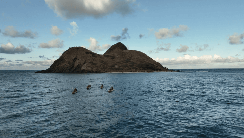 people paddling kayak rentals from Active Oahu out to the Mokulua Islands from Kailua Beach